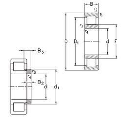 Bearing NU1060-M6+HJ1060 NKE