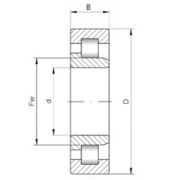 Bearing NJ10/670 CX