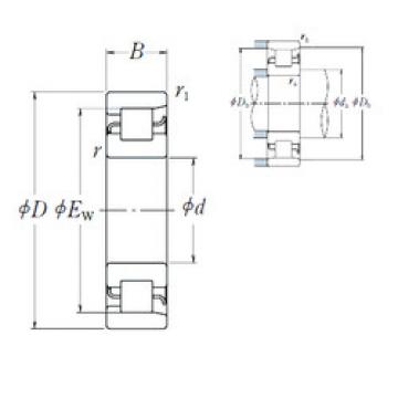 Bearing NF 221 NSK