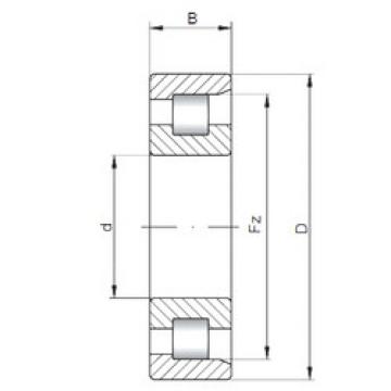 Bearing NF29/530 CX