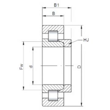 Bearing NH260 CX