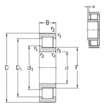 Bearing NJ2203-E-TVP3 NKE