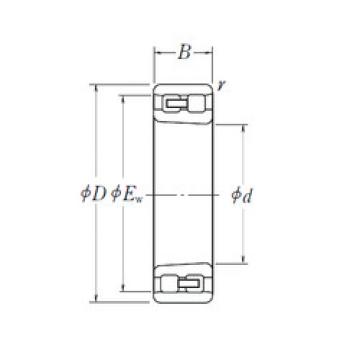 Bearing NN 3005 K NSK