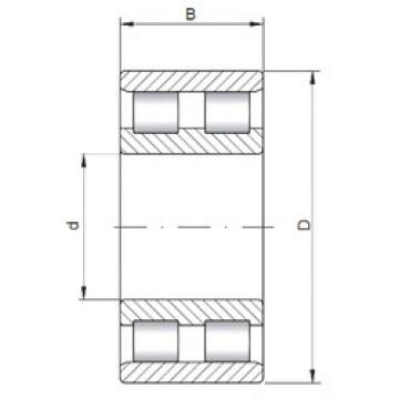 Bearing NN3005 CX