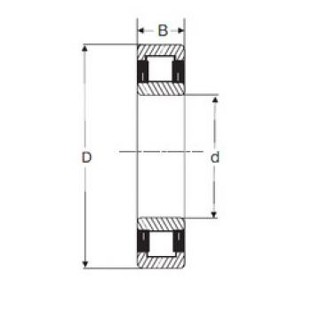 Bearing NU 206 SIGMA