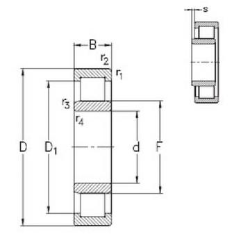 Bearing NU1060-M6E-MA6 NKE