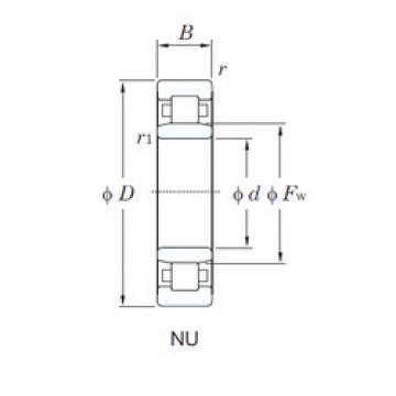 Bearing NU1005 KOYO