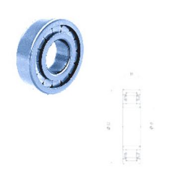 Bearing NU209FMN/C3 Fersa