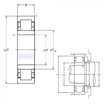 Bearing NU205EM NSK