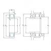 Bearing NU217ECM/HC5C3 SKF #1 small image