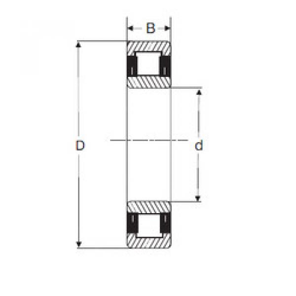 Bearing NU 204 SIGMA #1 image