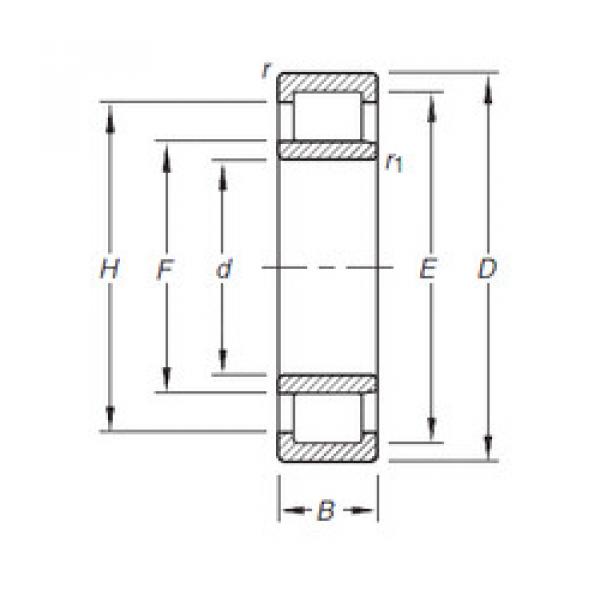 Bearing NU204E.TVP Timken #1 image