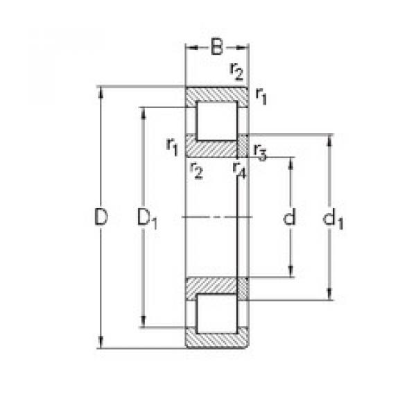 Bearing NUP2319-E-M6 NKE #1 image